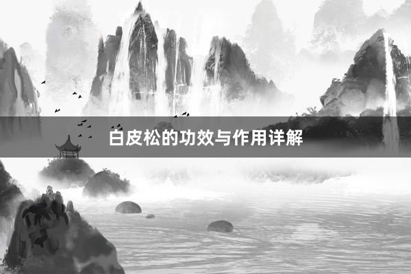 白皮松的功效与作用详解